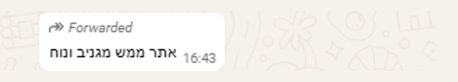 הודעת וואטסאפ מלקוחה: “אתר ממש מגניב ונחמד”